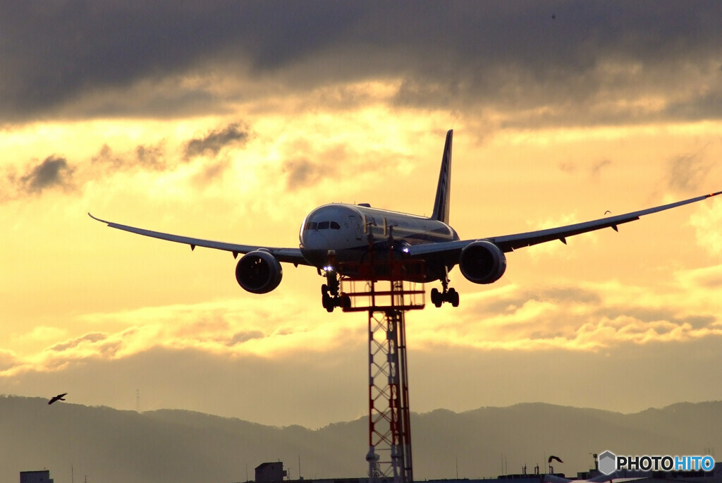 February morningⅢ★Boeing 787-9