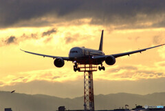 February morningⅢ★Boeing 787-9
