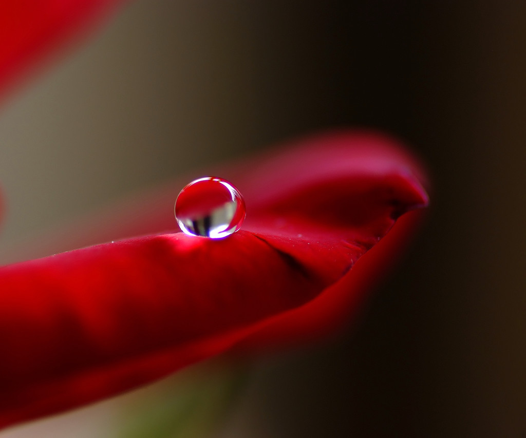 愛しい惑星（Ⅴ）・雫