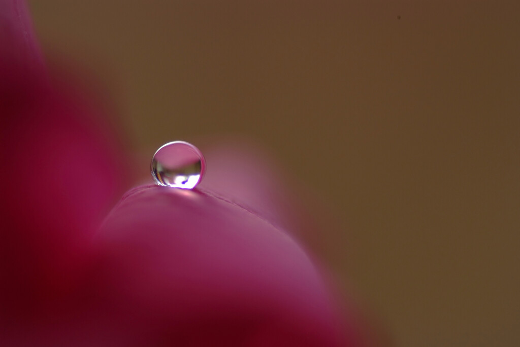 愛しい瞳✿1月の雫