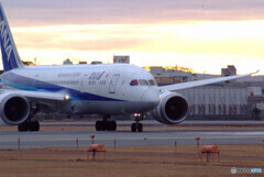 戦士の休息✈Boeing 787-8