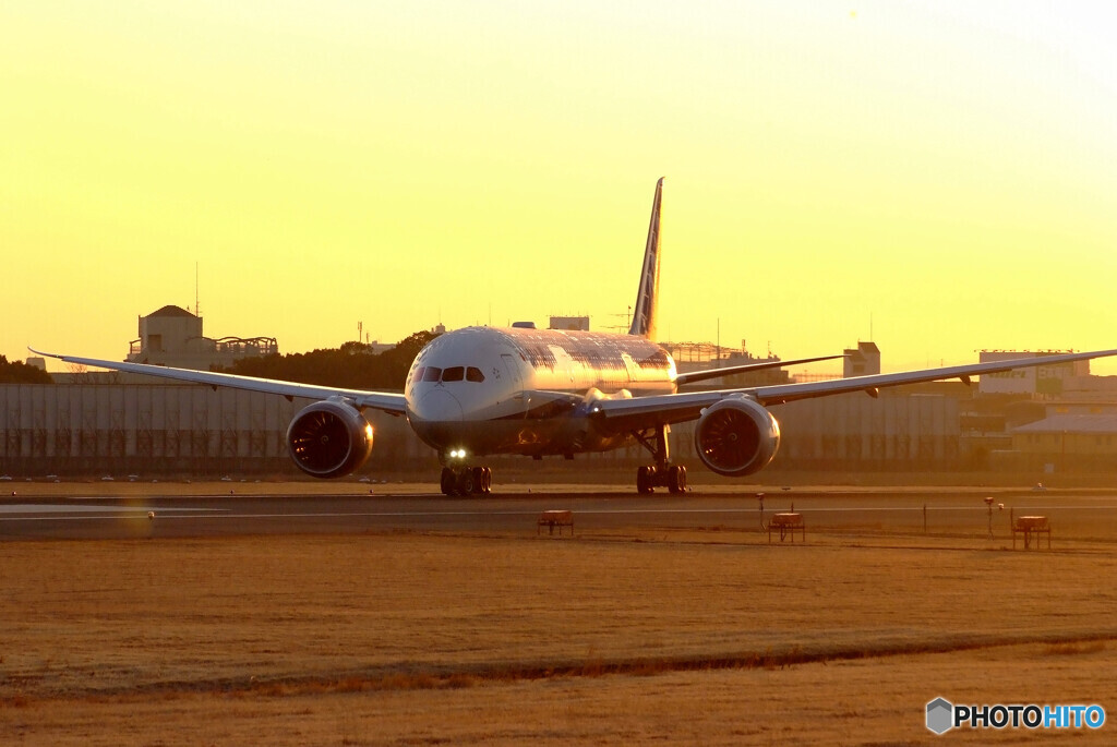 魅せられて✈Boeing 787-9Dreamliner