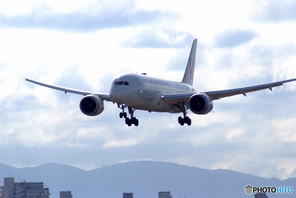 ３月の空から✈Dreamliner
