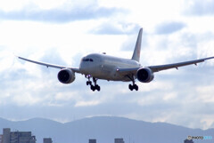 ３月の空から✈Dreamliner