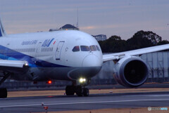 時の旅人✈JA817A