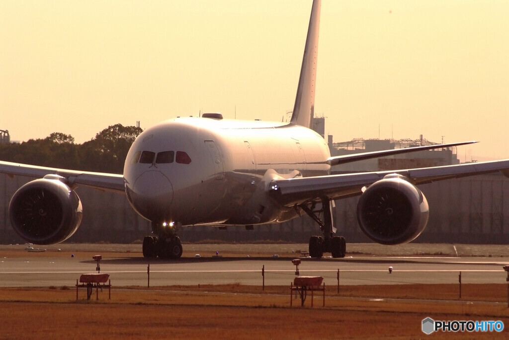 Nice MorningⅢ☆JAL Boeing787-8