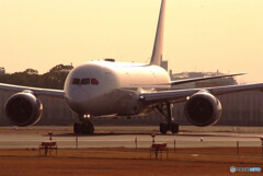 Nice MorningⅢ☆JAL Boeing787-8