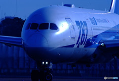 Blue Lightning・787