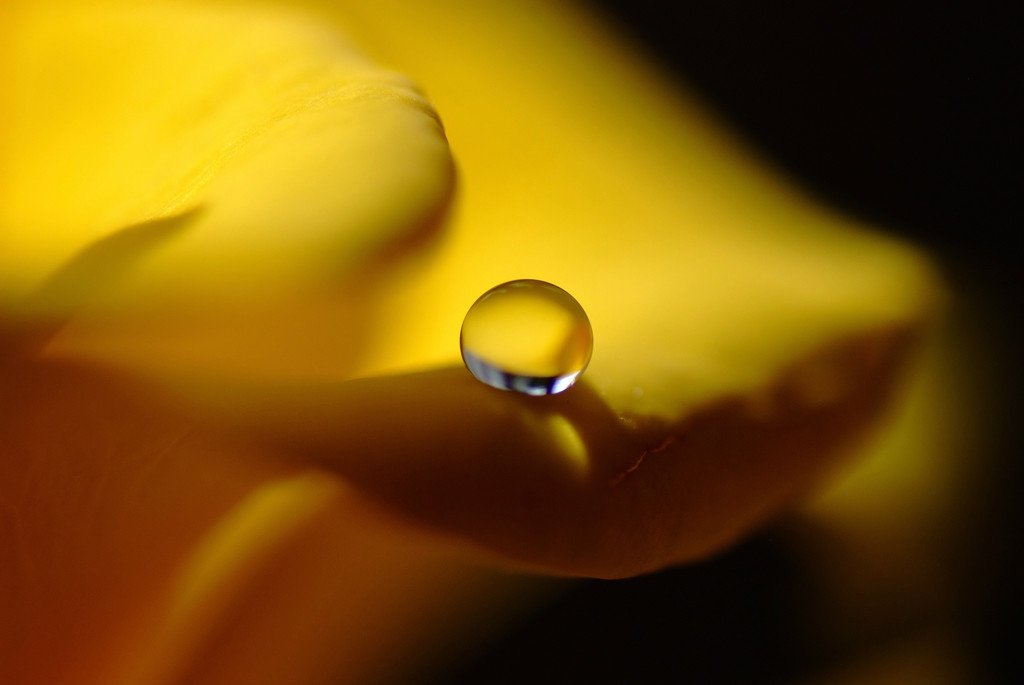 君は天然色Ⅲ・雫