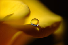 君は天然色Ⅲ・雫