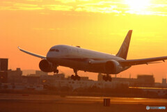 Morning Star★787