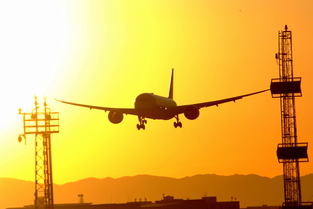 誘惑の朝✈Boeing787-9