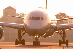 Morning BirdⅥ・787‐9 