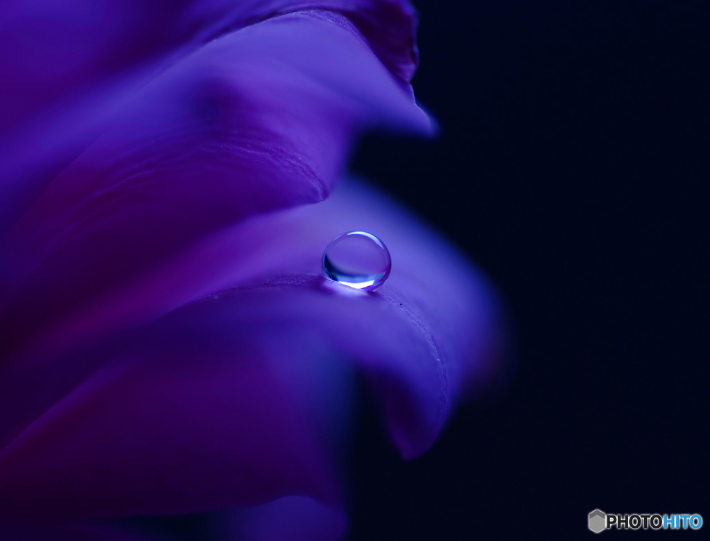 蒼の扉・雫
