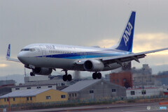 妄想の旅へⅢ✈Boeing737-800