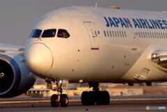 如月の朝✈Dreamliner
