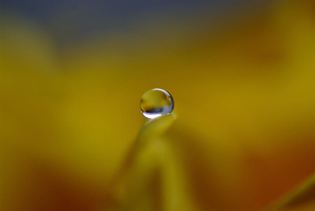 雫を巡る旅へ（Ⅲ）