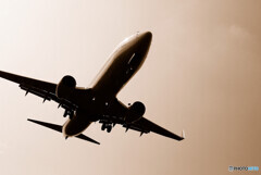 Beautiful Morning・737