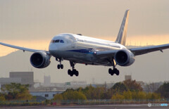 December morningⅡ✈Boeing 787-8