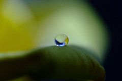 如月の惑星・雫（Ⅲ）