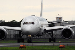 俺の旅路Ⅶ夏✈JA846J