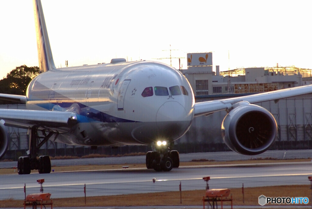 Airplane ParadiseⅦ✈Boeing787-8