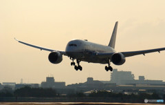 永遠の翼・787