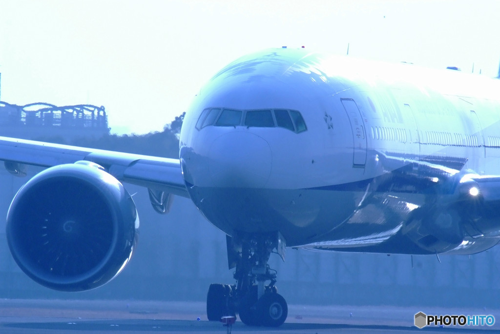 Morning ShotⅡ・ANA