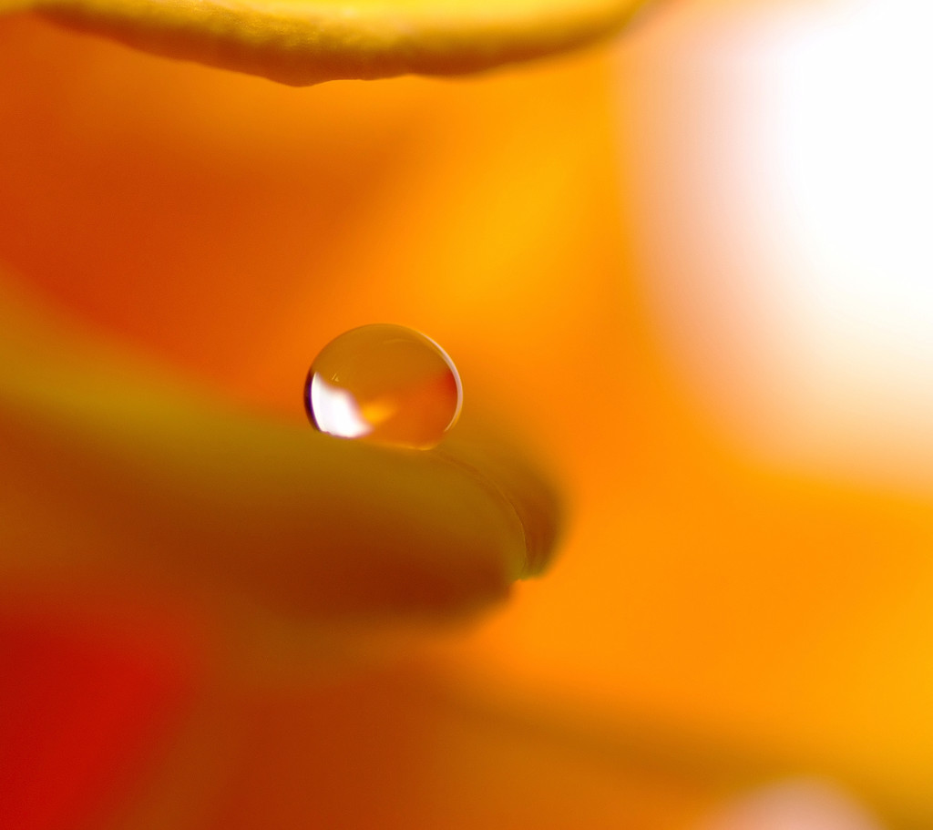 夏の終わりに・雫