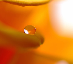 夏の終わりに・雫