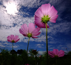 秋空と四重奏・・