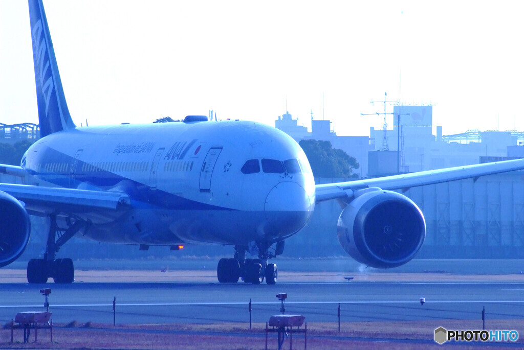 蒼の世界へ✈Dreamliner