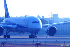 蒼の世界へ✈Dreamliner