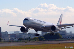 HARADAの空から✈JA02XJ