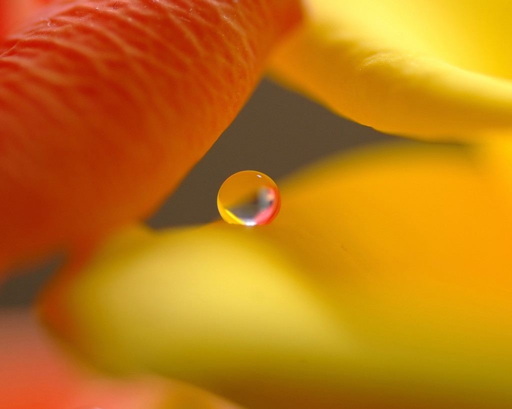 君は天然色Ⅳ・雫