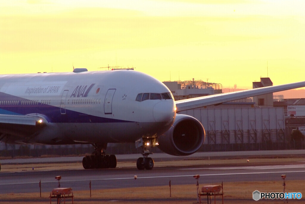 都会のOasis✿Boeing777-200