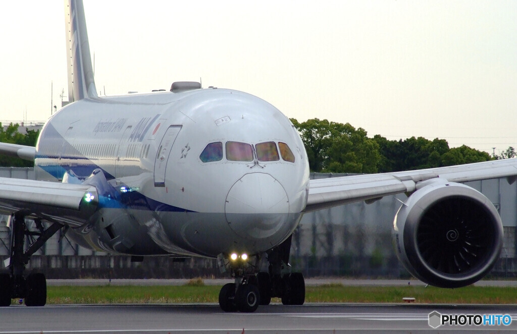 男の勲章✈Boeing787-8