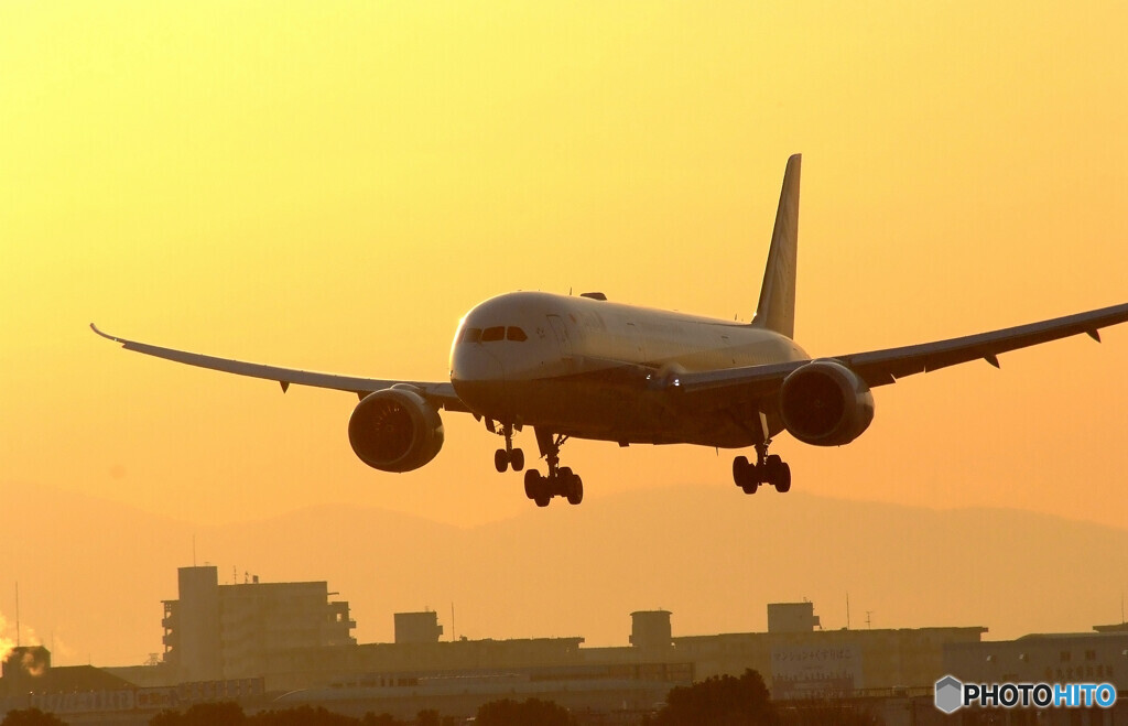 如月の翼✈Boeing 787-8
