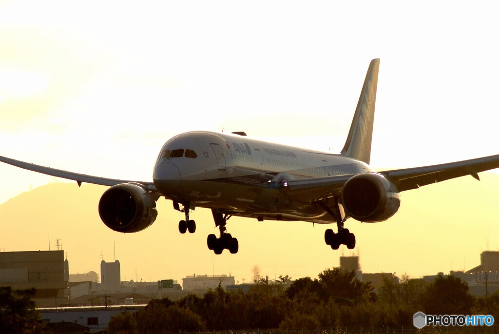 俺の朝焼け✈Boeing 787-8