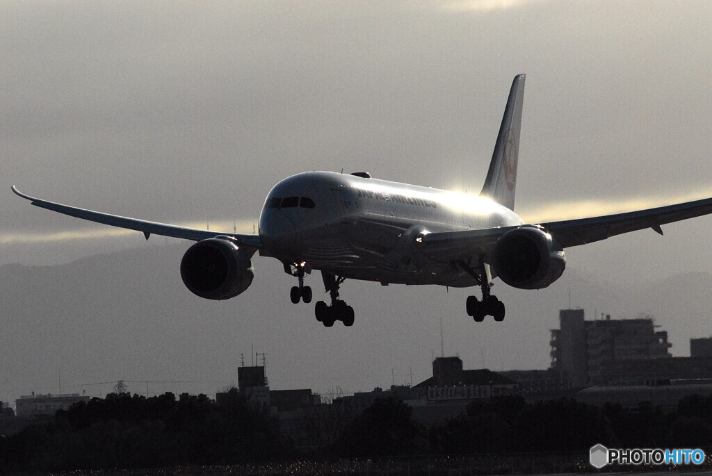 Christmas WingsⅤ✈Boeing 787-8