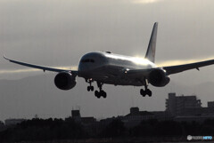 Christmas WingsⅤ✈Boeing 787-8