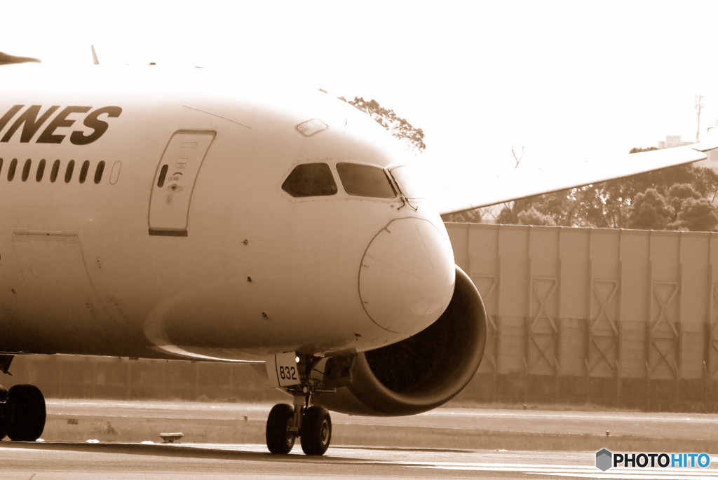 戦士の休息・Dreamliner