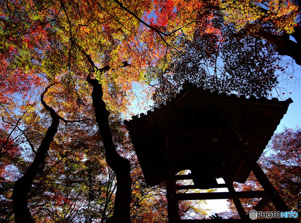 錦秋・常寂光寺にて