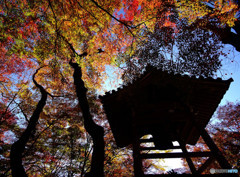 錦秋・常寂光寺にて