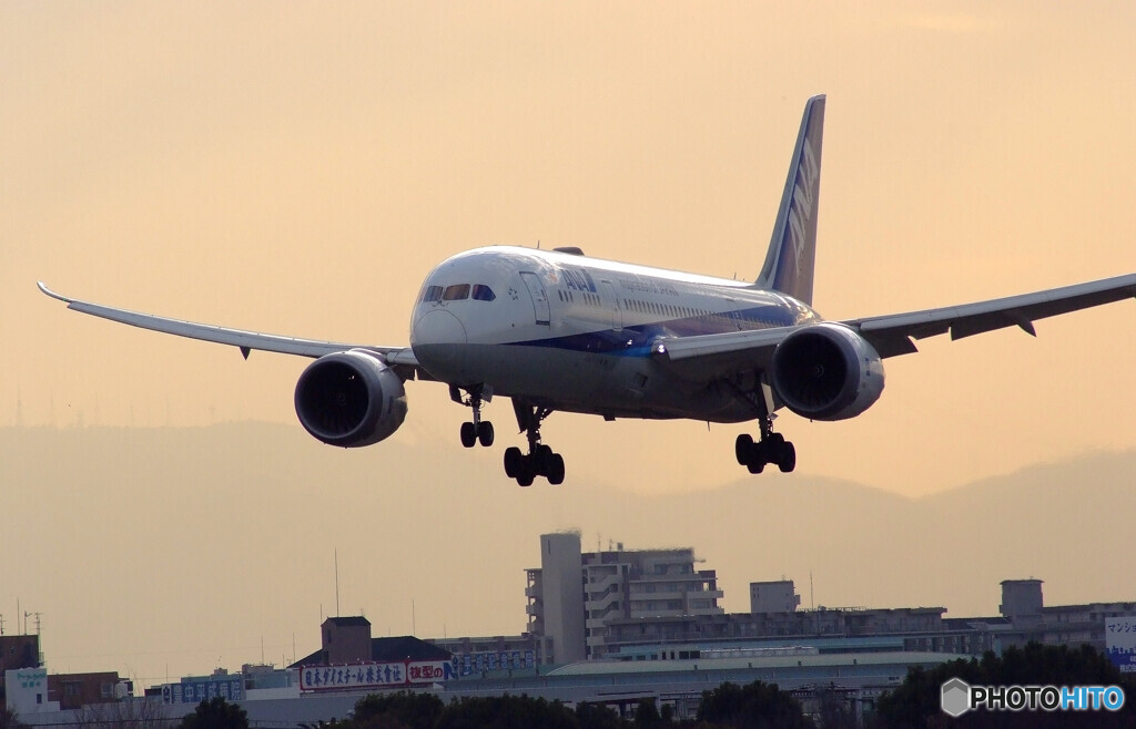 Japanese beautyⅡ✈787Dreamliner