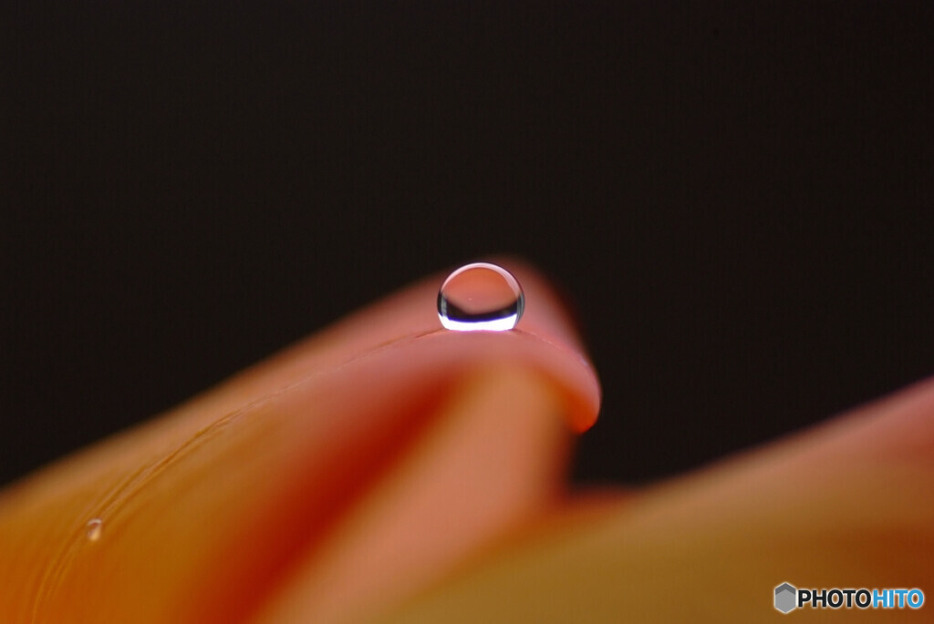 癒やしの朝✿雫