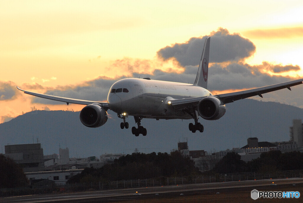 Beautiful MemoriesⅦ✈Boeing 787-8