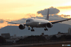 Beautiful MemoriesⅦ✈Boeing 787-8