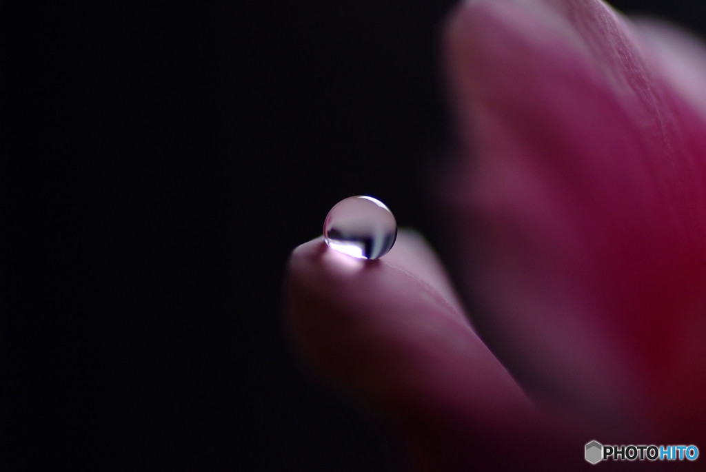 今宵も月のように