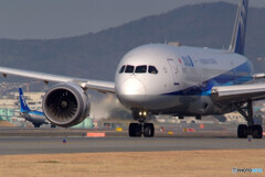 February 24 Gifts✈787